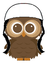 Owl in Helmet